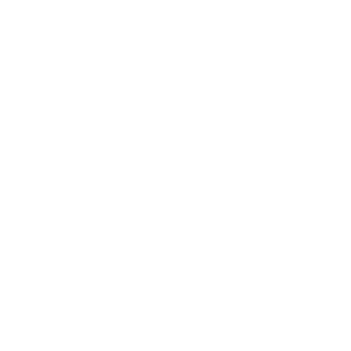 Alliance of Security